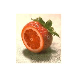 오렌지 맛이 나는 딸기