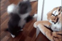 호랑이 따윈 내 펀치로