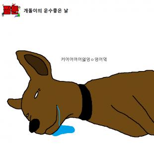 개꿈