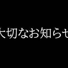 子猫について大切なお知らせがあります...