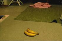 난 바나나가 싫어