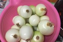 초절임 이즈 백