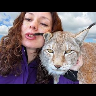 УГОВАРИВАЮ РЫСЬ ХАННУ НА ПРОГУЛКУ