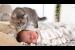 Cat Meets Newborn Baby for the First Time