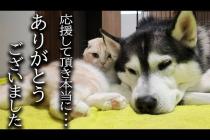 みなさまにお伝えしたいことがあります...