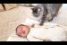 Funny Cat Reaction to Newborn Baby