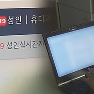 음란사이트 150곳 접속 차단…https 우회도 막혀