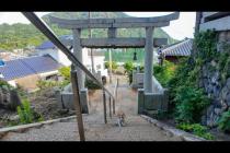 歩き疲れて神社の階段で休憩していると来てくれる猫がいて癒やされた