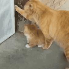 엄마! 난 어떻게...