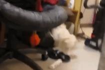 내가 뭐 잘못 했어