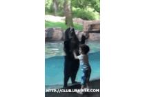 같이 점프 해요