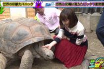 자꾸 만지지 마라