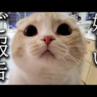 みなさまに嬉しいご報告があります...