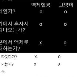 고양이 키워야 하는 이유