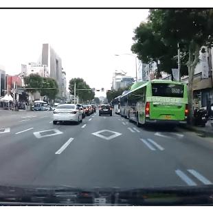 대담한 무단횡단