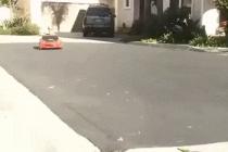 베스트 드라이버