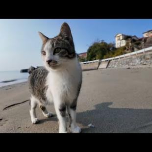 【今週のボツ動画】今週撮った短い未公開動画まとめて公開-unreleased video of this week-2025/1/4w