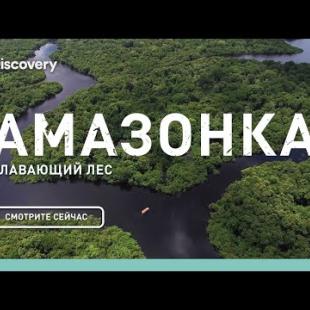 Амазонка: плавающий лес | Неизведанные острова | Discovery Channel