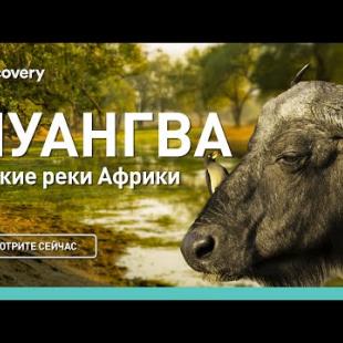 Луангва | Дикие реки Африки | Discovery