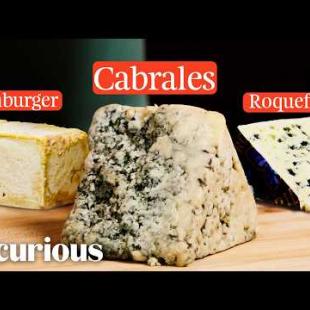 Cheese Expert Tastes the World’s Stinkiest Cheeses | Epicurious