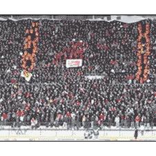 트롤페이스 팬들