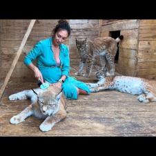 КАКАЯ РЫСЬ ЛЮБИТ ПУХОДЕРКУ? / Необычный ритуал мейн-куна Барби