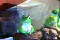 난 세번 이상은 못참아