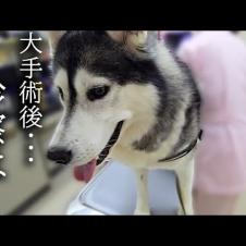 大手術後の初めての病院で...