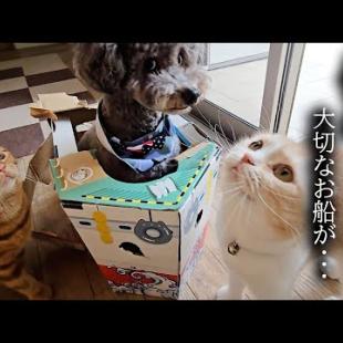 犬がうっかり猫達の大切なお船を壊したらこうなっちゃいました...