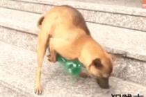 이렇게 사용해야지