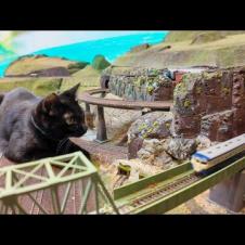 列車を見守る巨大黒猫ちゃんがカワイイ