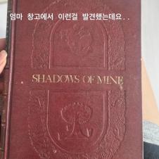 사랑에 빠진 고창여고 문학소녀 고미숙양의 다이어리