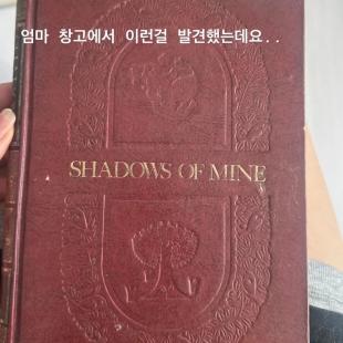 사랑에 빠진 고창여고 문학소녀 고미숙양의 다이어리