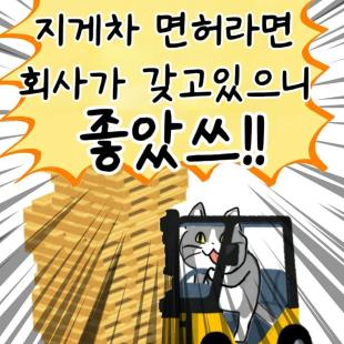 좋소기업의 면허 특징