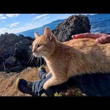 猫島の港近くで出会った猫と崖っぷちにある祠に行ってきた