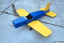 비행기 하이재킹범