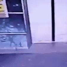 애 안 키워본 여자