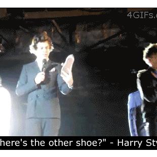 Harry-Styles-hit-by-shoe