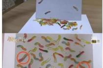 세상에 이런일이 금손 레전드