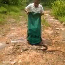 뱀 한자루 방생