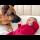 My German Shepherd Became Best Friend for Newborn Baby