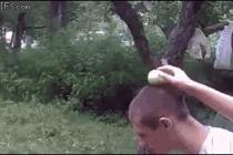 걷어찬 사과 아닌 머리