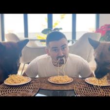 Spaghetti Eating Competition: My German Shepherd Dogs vs. Me