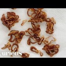 You Can Fry Onions in the Microwave?