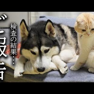 【ご報告】病院での病理検査の結果について...