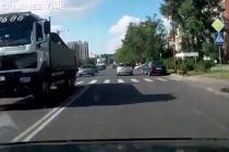 사람보다 교통규칙을 더 잘 지키는 견공