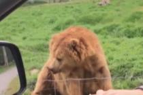 그래요.어여가 ...