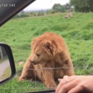 그래요.어여가 ...