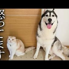 一言言わせて下さい...