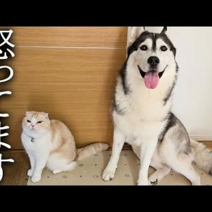 一言言わせて下さい...